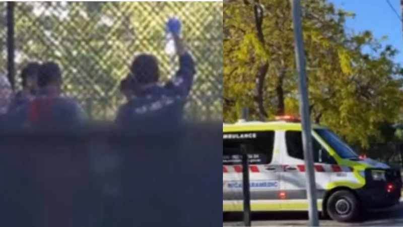 Life-threatening injury! AUS batter in critical condition after ball hits neck