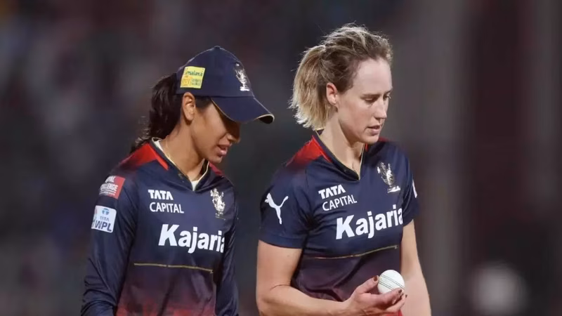 'You’ve got best fans': Out of WPL, Elysse Perry backs RCB from home - Watch